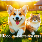 10 Cool Gadgets for Pets