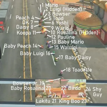 Mario kart 9 track 24 character named