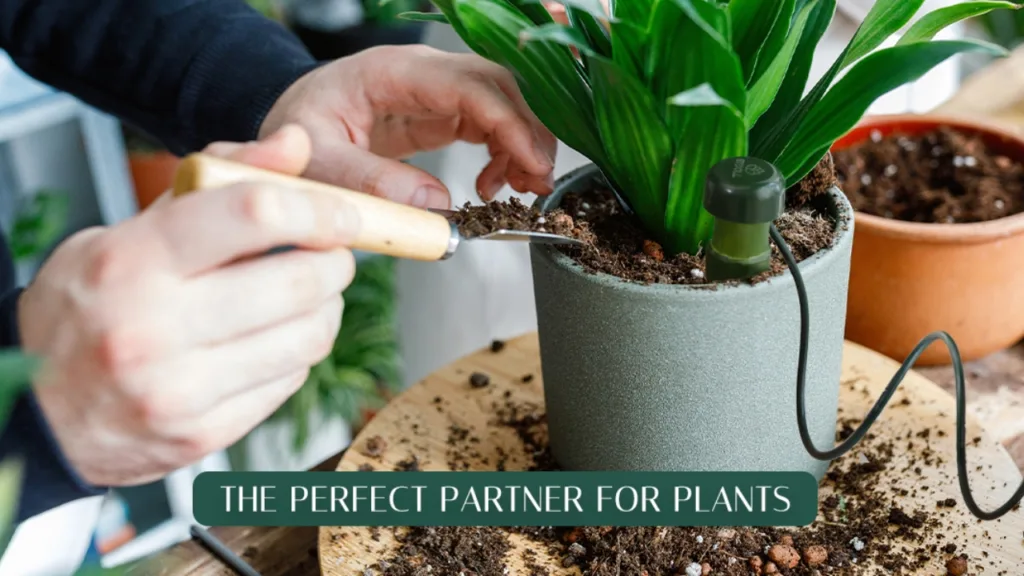 Bydoll Watering Stakes