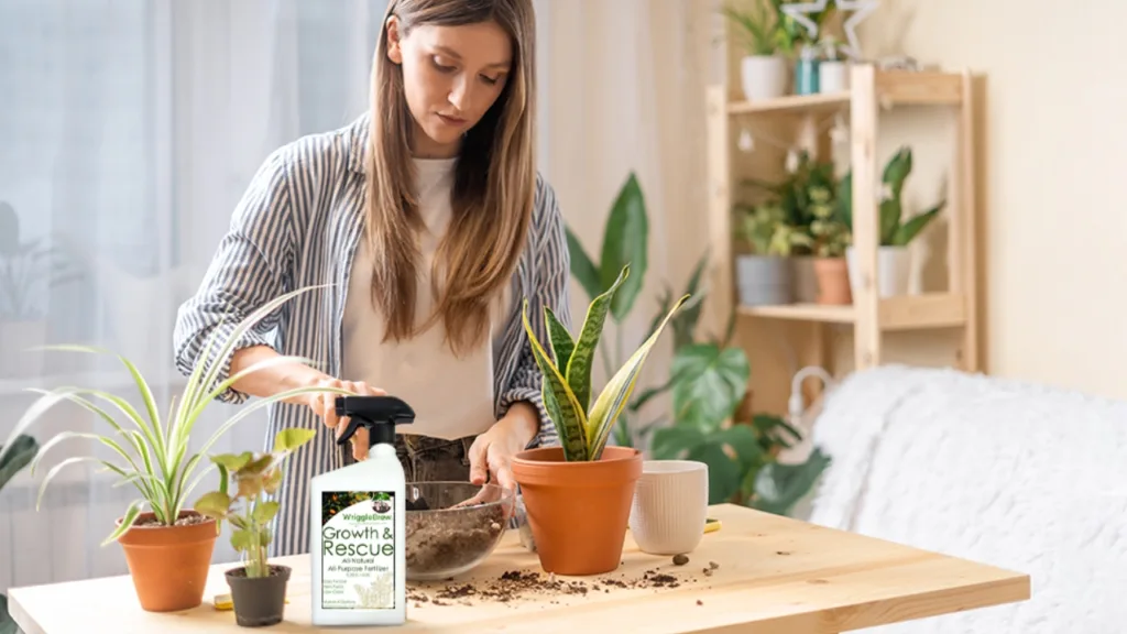 WriggleBrew Fertilizer